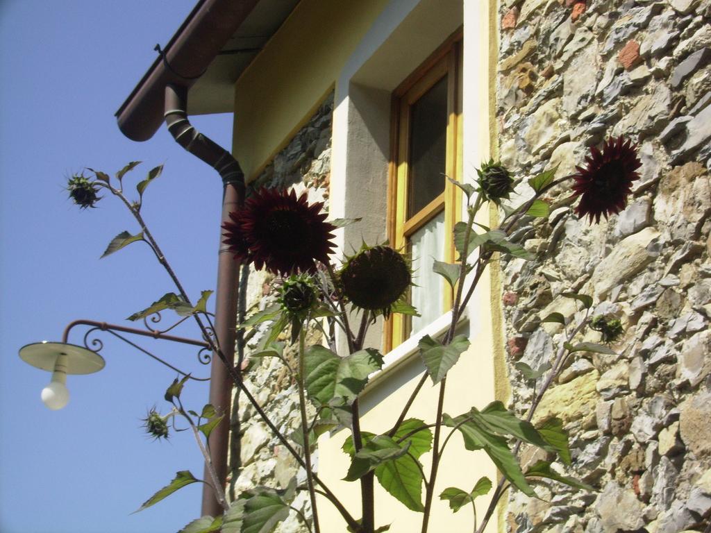 Bed and Breakfast Il Girasole Fosdinovo Exterior foto